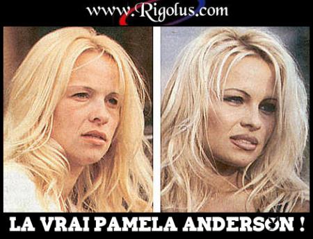 pamela anderson