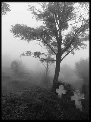 cimetière